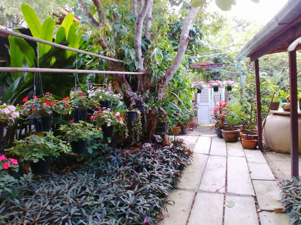 Nr Homestay Amphawa Eksteriør bilde
